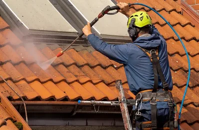 Démoussage et hydrofuge de toiture à Moulhard